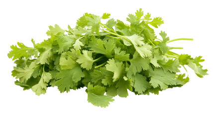 Fototapeta premium Bunch of fresh coriander leaves isolated on transparent background