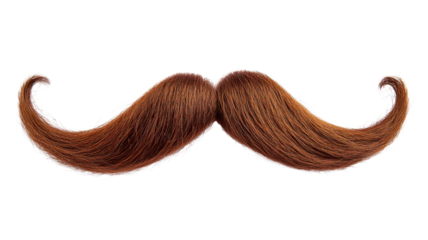 Long red curly mustache isolated on transparent background