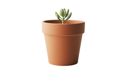 Obraz premium Small plant growing in terracotta pot with transparent background