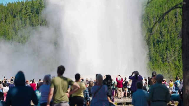 Crowds of Yellowstone visitors gather to capture Old Faithful erupt.