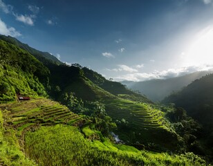 Philippines rice terraces cascading down mountain slope in golden morning light