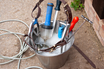 Dental treatment horse style, a bucket of hot soapy water with all the equipment an equine dentist...