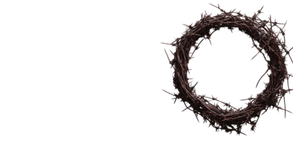 A crown of thorns in the shape of an O isolated on transparent background (5)