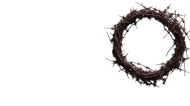 A crown of thorns in the shape of an O isolated on transparent background (5)