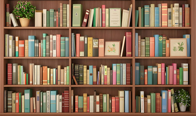 Colorful Bookshelf Filled with Various Books and Decorative Items