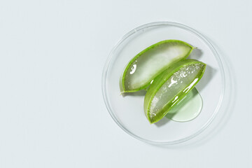 Aloe pieces on white background