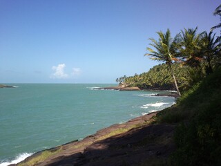 tropical beach with palm trees. Landscape of a beach of the 