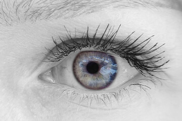 close up of a female eye