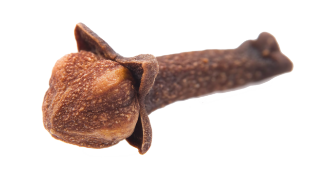 one dried clove macro isolated on white background PNG.AI GENERATED