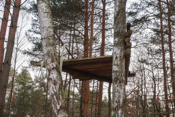 Niedokończony domek na drzewie. © Wiktor