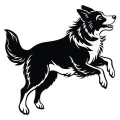 border collie dog jumping on side view position vector