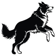 border collie dog jumping on side view position vector