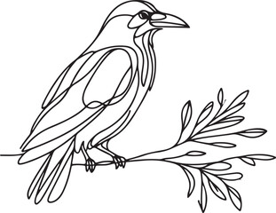 Crow on Branch Line Drawing