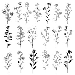 Hand Drawn Flowers SVG,  Flowers Silhouette Bundle, Floral SVG, Flower SVG Cut File