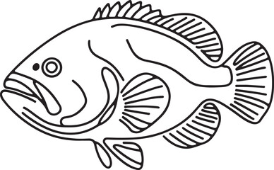 Simple Line Drawing of Grouper Fish Vector