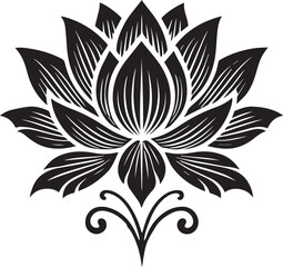 Obraz premium a beautiful lotus flower.