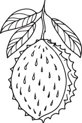 Elegant Line Art of Soursop Fruit Vector Illustration
