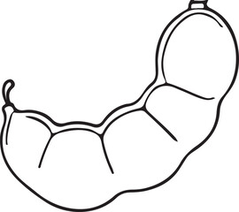 Minimalist Tamarind Line Drawing Vector Art