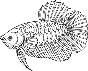 Fototapeta premium Arowana Fish Vector Art | Simple Line Drawing Illustration