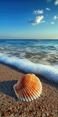 Beautiful seashell resting on sandy beach with gentle ocean waves at sunset