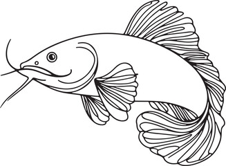 Fototapeta premium Elegant Loach Fish Line Drawing Illustration
