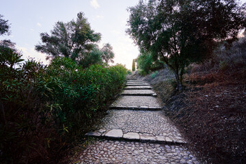 A stone pathway lined with trees and bushes, leading uphill under a clear sky.