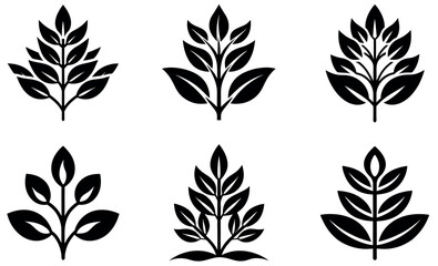 Six stylized plant icons in black and white design
