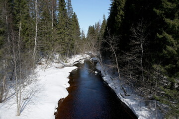 forest river in early spring on a sunny day