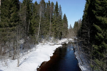 forest river in early spring on a sunny day
