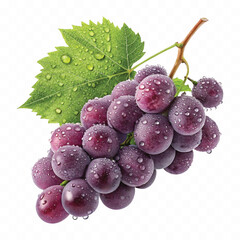 abstract 3d fresh organic  grapes cluster with water droplets and green leaf isolated on pure white background 