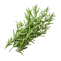 Fototapeta premium Fresh rosemary sprigs arranged neatly on a clean transparent background for culinary and decorative purposes, fresh rosemary on transparent background