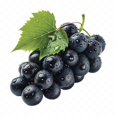 abstract 3d fresh organic  grapes cluster with water droplets and green leaf isolated on pure white background 