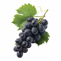 abstract 3d fresh organic  grapes cluster with water droplets and green leaf isolated on pure white background 