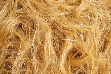 Obraz premium Abstract Texture of Golden Fibers Intertwined in a Delicate Dance