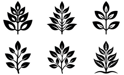 Six stylized black and white plant icons on a white background