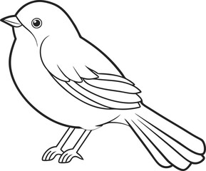 Outline Drawing of Two Birds with Leaf on White Background