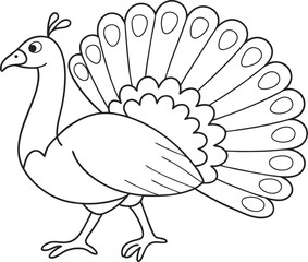 Outline Illustration of a Peacock with Spread Feathers for Coloring Pages