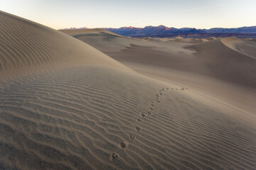 sand dunes in death valley