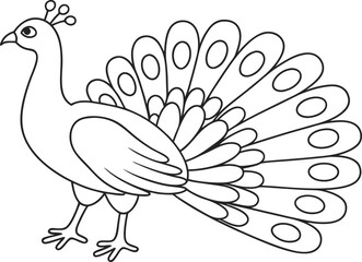 Outline Illustration of a Peacock with Spread Feathers for Coloring Pages