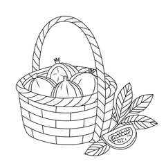 Fototapeta premium Elegant line art illustration of pomegranate fruits arranged in a woven basket. Perfect for branding, packaging, prints, and botanical-themed projects. Ideal for organic food, vintage, and minimalist.