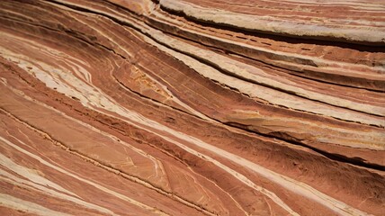 Fototapeta premium The Wave sandstone. Detail of The Wave sandstone formation at sunrise