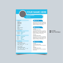Business Resume and CV Template with Professional Layout