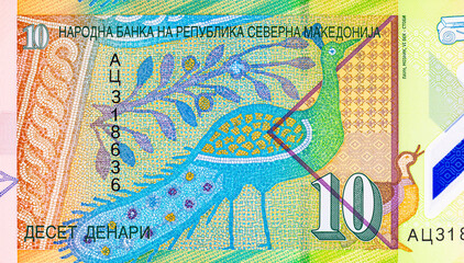 Fragment of the Banknote 10 denars Macedonia with a mosaic image of a peacock. Polymer money. Currency of Macedonia