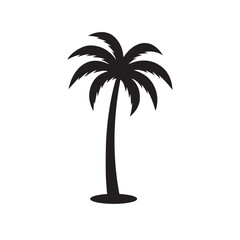 Palm tree silhouettes, black and white silhouette vector. Tropical palm tree © mongira01