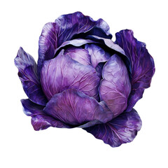 Obraz premium Majestic Purple Cabbage Rich Hues Deep Texture Vibrant Vegetable