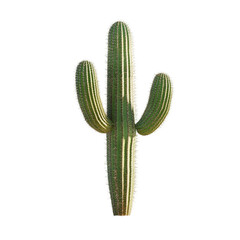 Majestic desert cactus standing tall vibrant green and white stripes nature's resilience