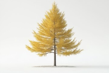 3D Larch Tree Isolated and White Background