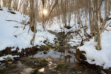 Bagnasco - Torrente Gambolgna