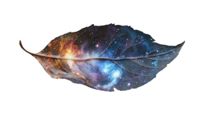 Dried leaf showing galaxy nebula and stars on transparent background