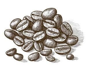 Fototapeta premium Ziarna kawy narysowane